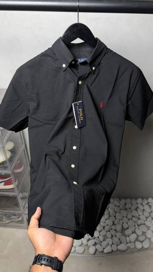 Ralp_ Laure_n AX Premium Half Sleeves Shirts 2471
