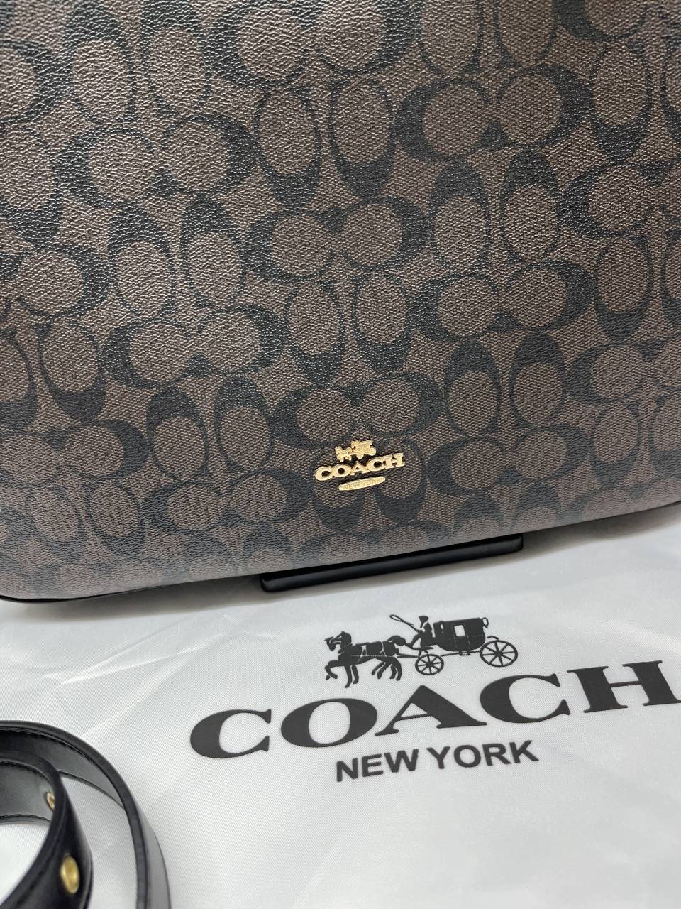 Coacch_Ella_Shoulder_Hobo_Tote_With_DustCover