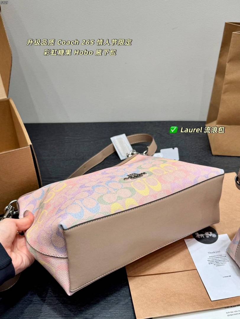 Coacch Laurel Special Edition Rainbow Hobo Tote With OriginalBox DustCover Tag