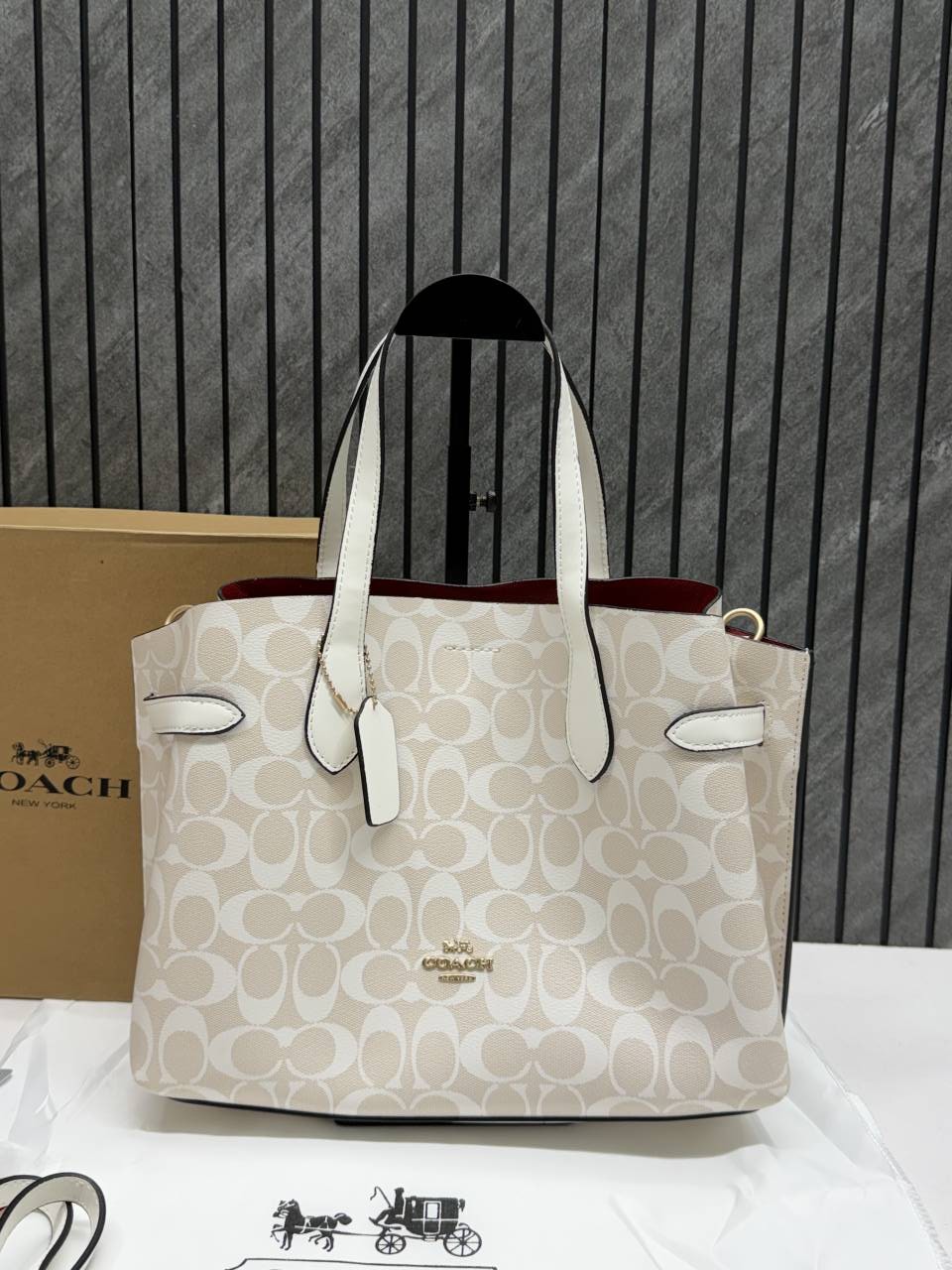 Coacch Hanna CarryAll Medium Satchel Bag With Original Box & DustCover