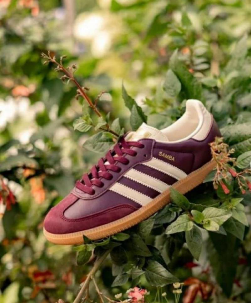 Adiddas Samba OG Maroon