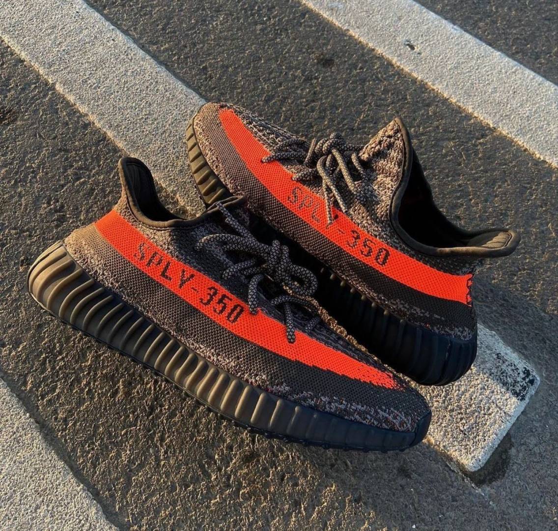Adidas Yeezy Boost 350 V2 Carbon Beluga Full Accessories SEMI UA