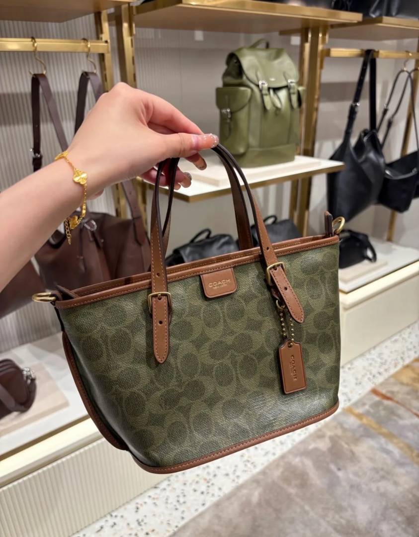 Coacch Taxi 21 Green Brown SmallTote With OriginalBox DustCover