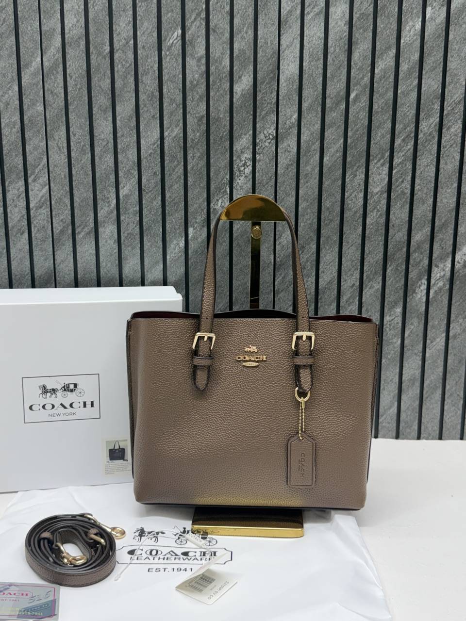 Coach_Mollie_25_SuperPremium_Mud_Small_Tote_With_OriginalBox_DustCover
