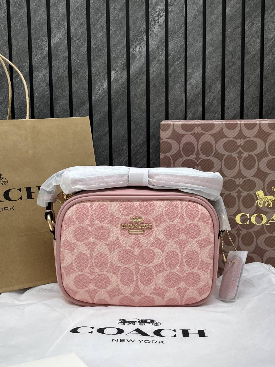Coacch Jamie Pink Camera Crossbody Bag With OriginalBox DustCover CarryBag
