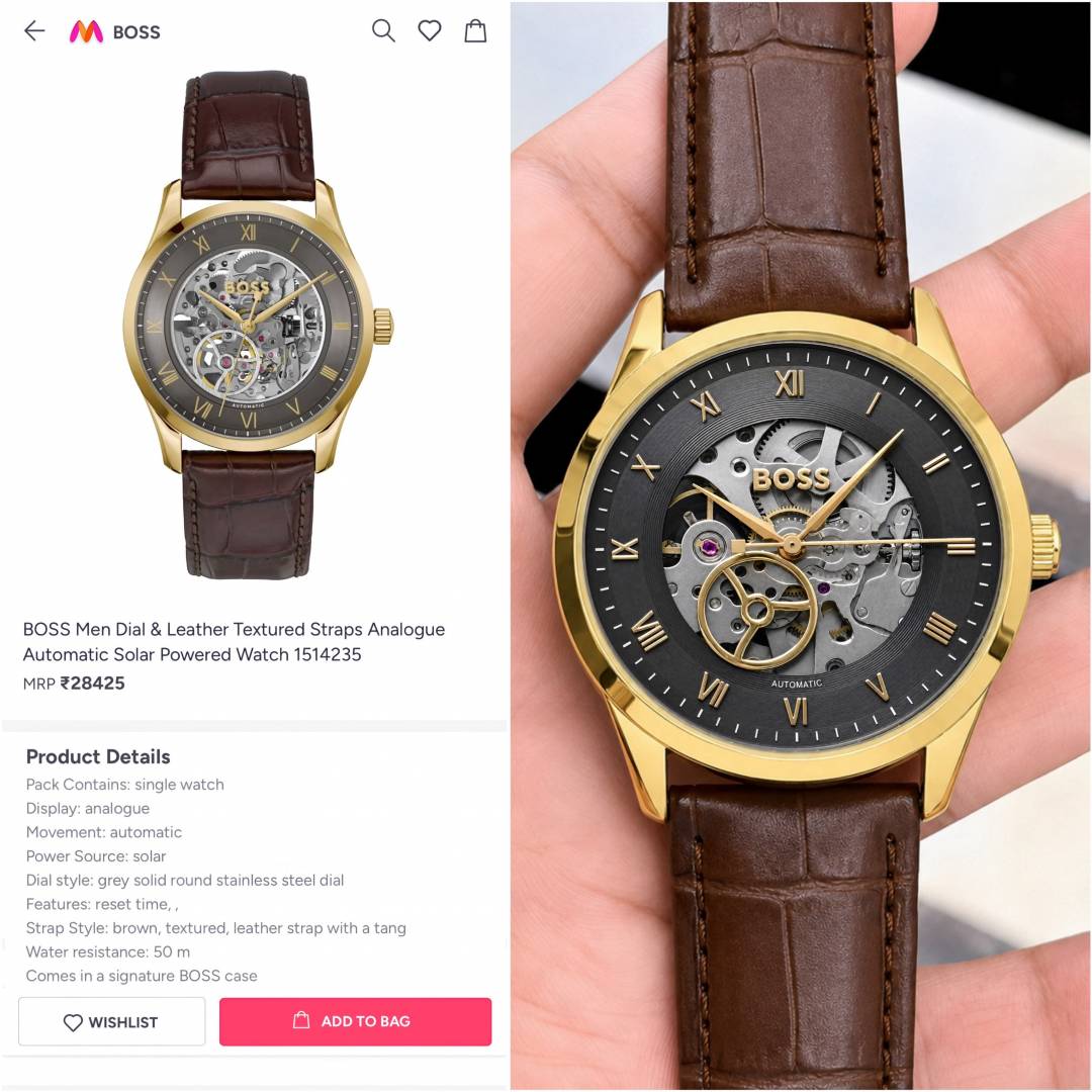 BOSS Principle Skeleton Mens Automatic Brown gold