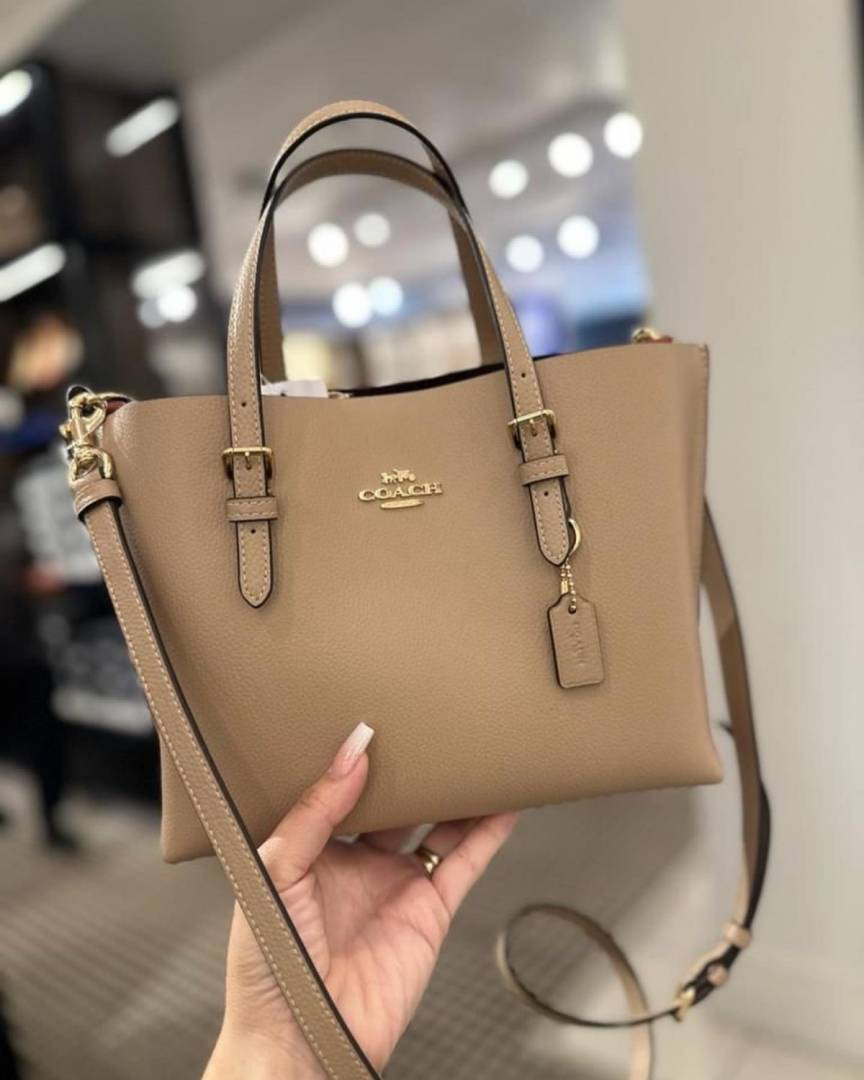 Coach_Mollie_25_SuperPremium_Mud_Small_Tote_With_OriginalBox_DustCover