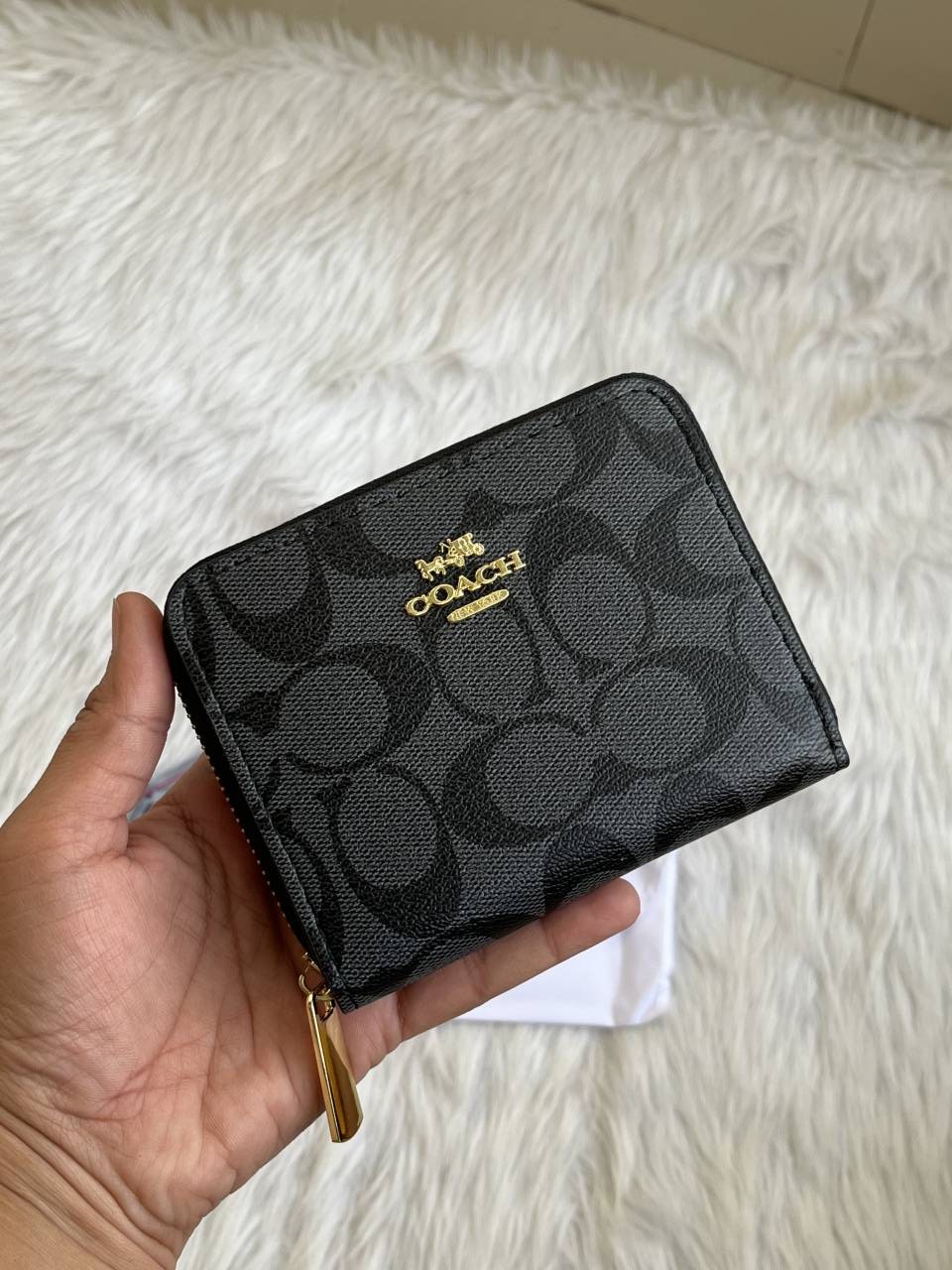 Coatchh 115 Black Zippy Wallet With OriginalBox DustCover Premium