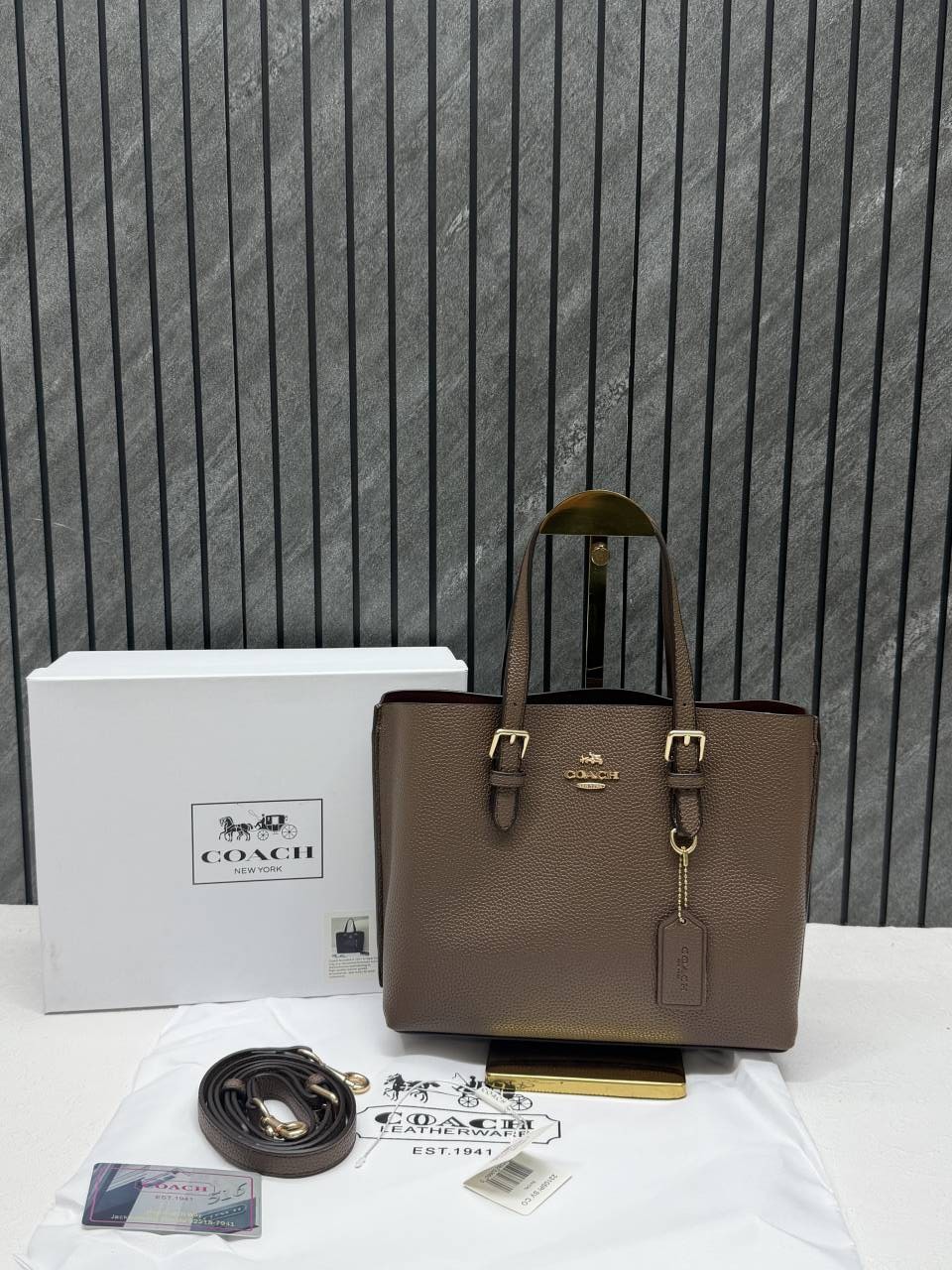 Coach_Mollie_25_SuperPremium_Mud_Small_Tote_With_OriginalBox_DustCover