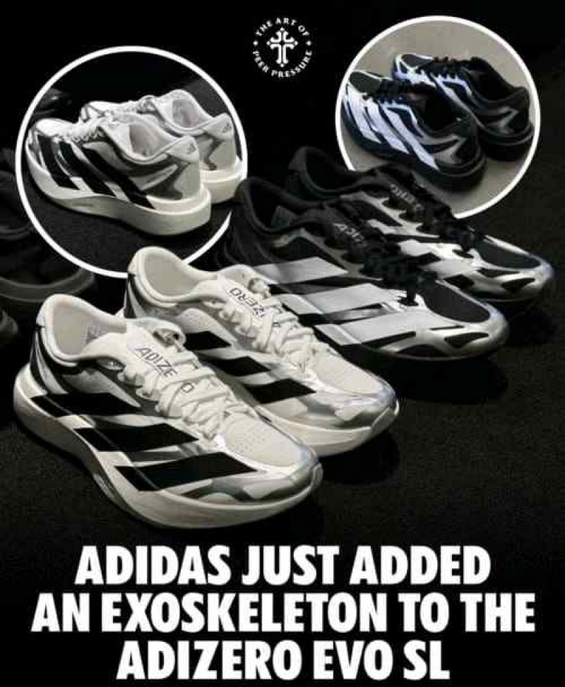 Adidaass Adizero Evo SL Exo Cloud White 6184