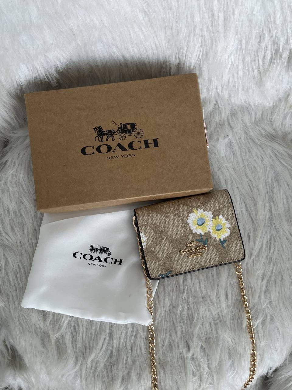 Coacchh Cw-3 ChainWallet With OriginalBox & DustCover