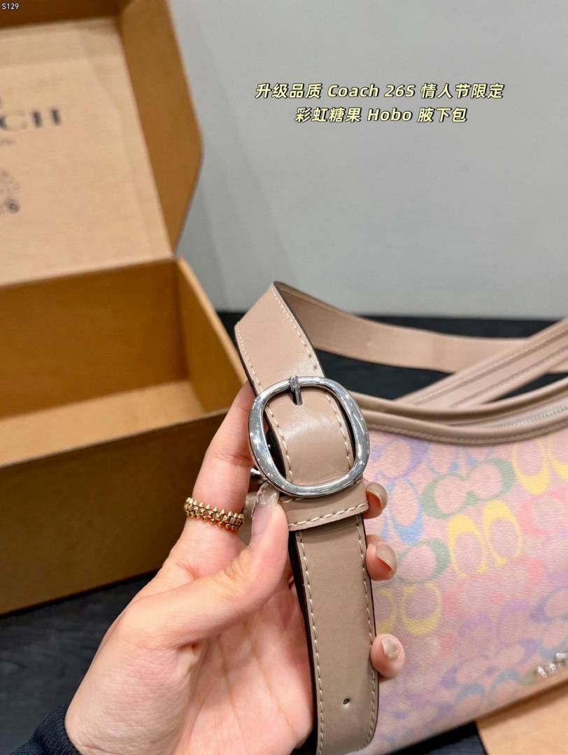Coacch Laurel Special Edition Rainbow Hobo Tote With OriginalBox DustCover Tag