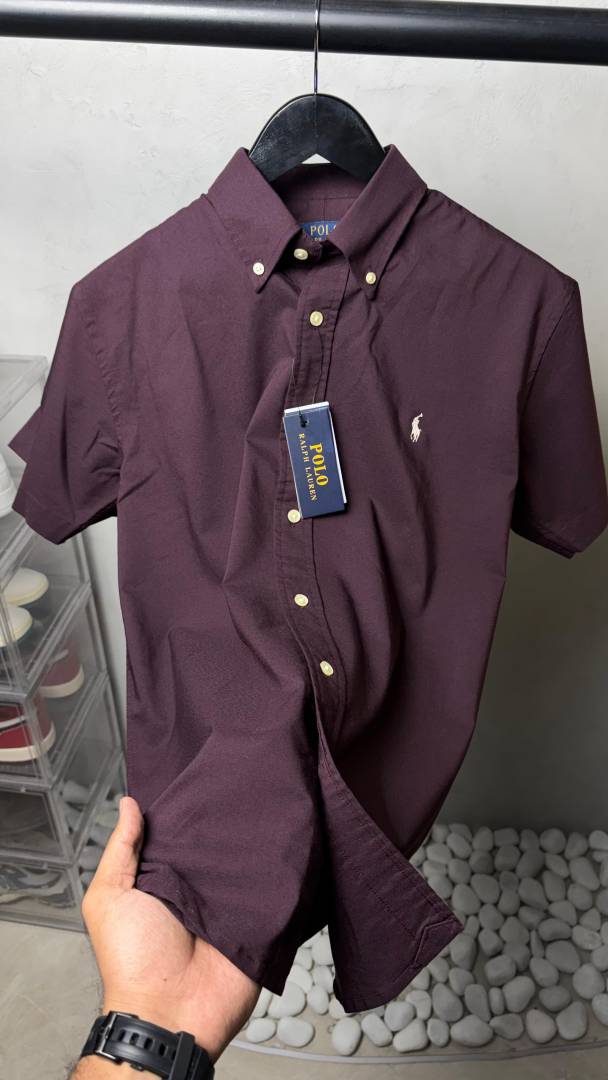 Ralp_ Laure_n Premium Half Sleeves Shirts 2448