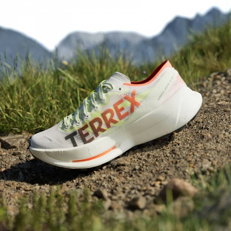 Adiddas Terrex Agravic TT trail running white red