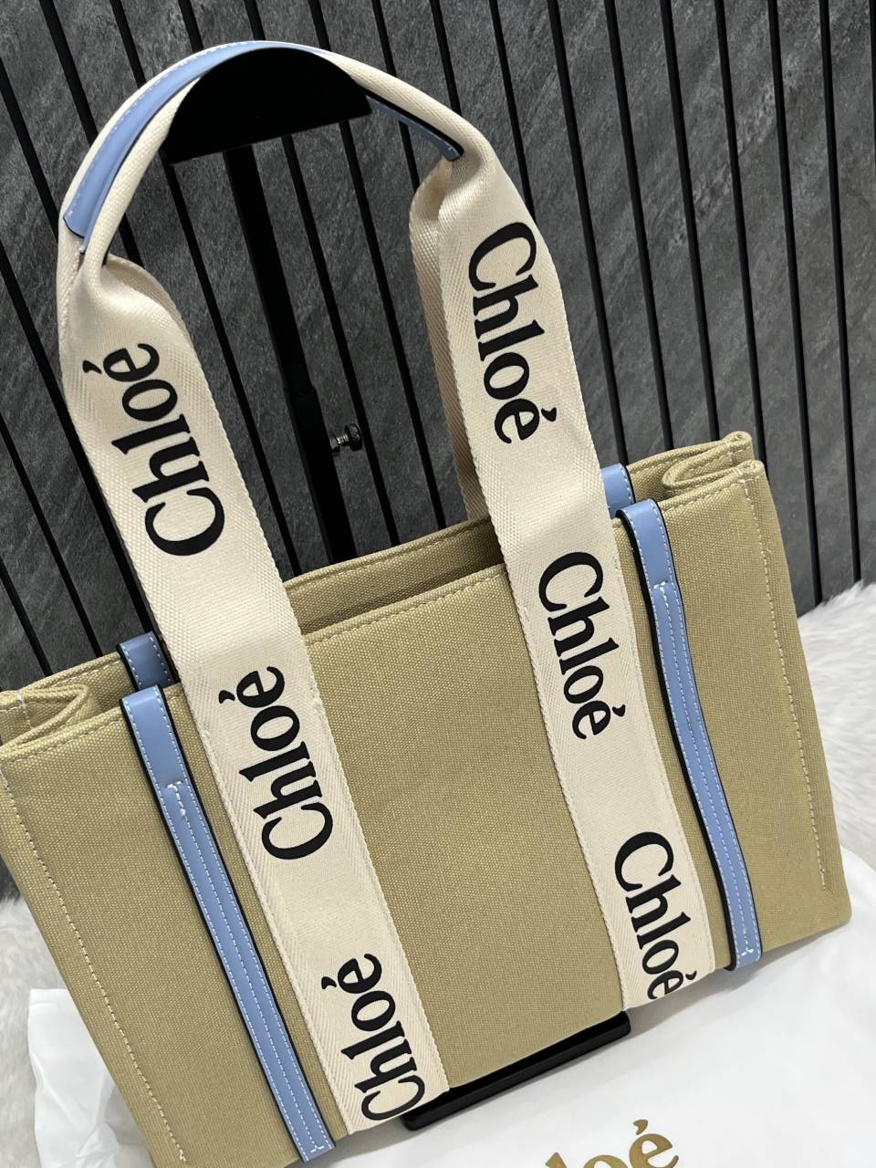 Chloee Blue Medium Canvas Woody Tote With Dust Cover