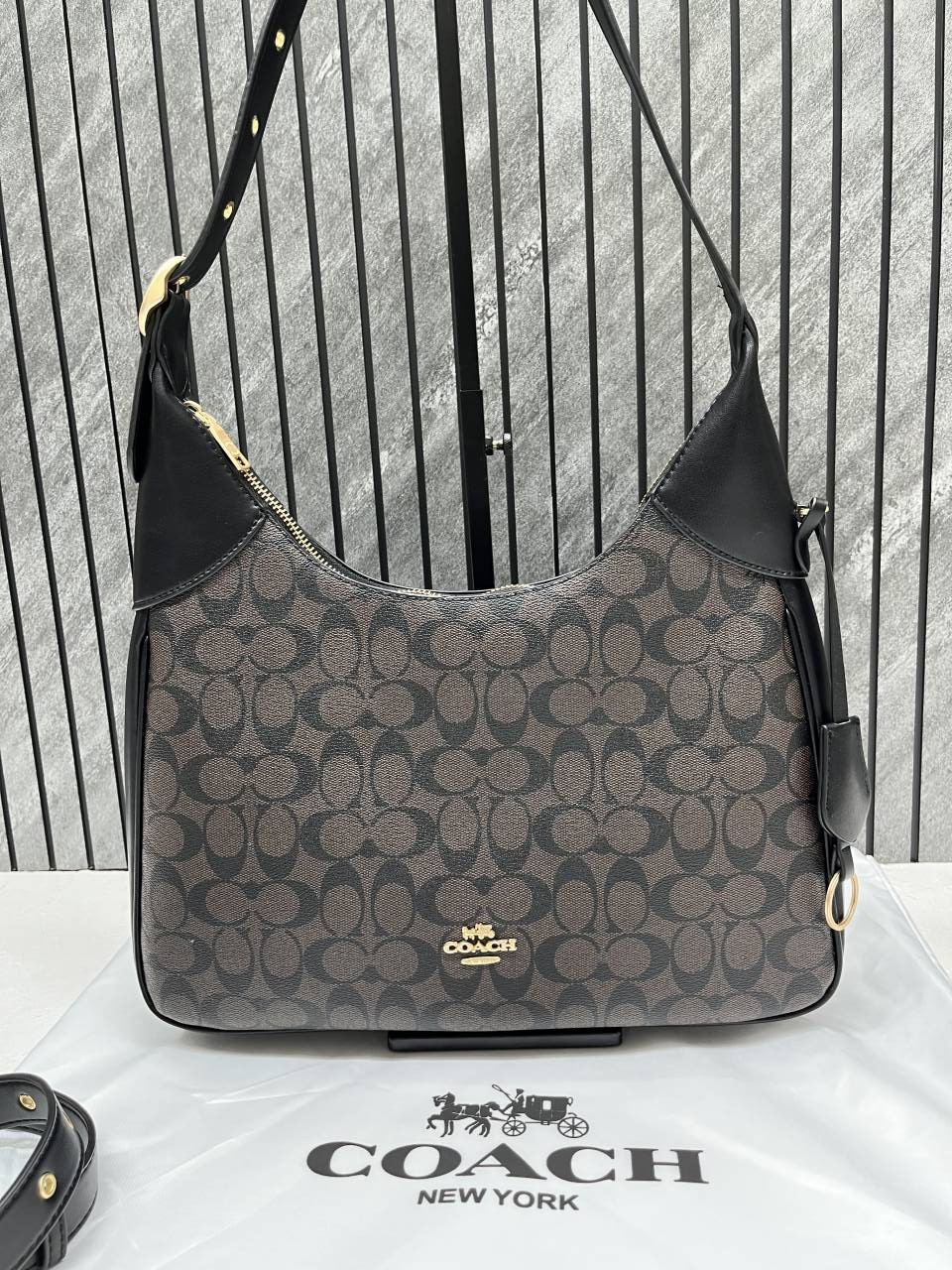 Coacch_Ella_Shoulder_Hobo_Tote_With_DustCover