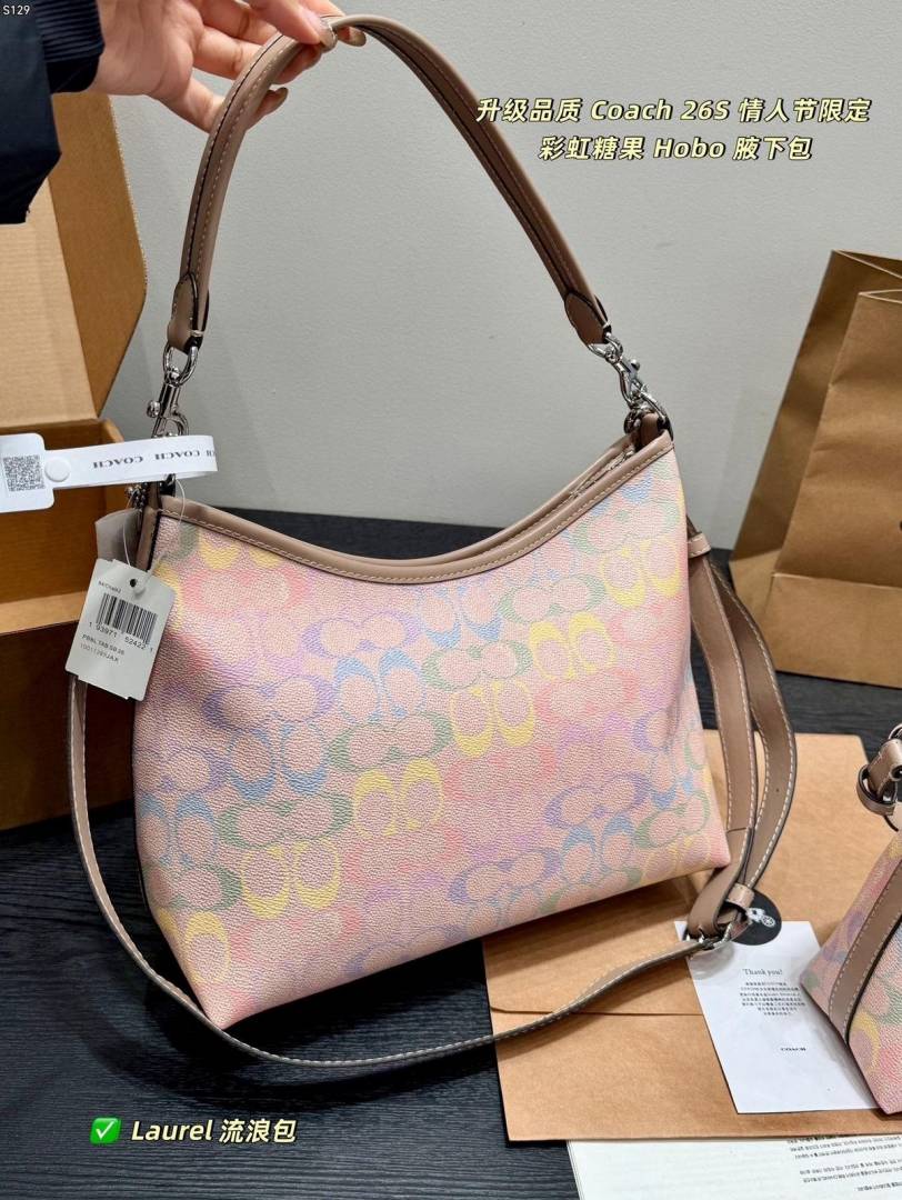 Coacch Laurel Special Edition Rainbow Hobo Tote With OriginalBox DustCover Tag