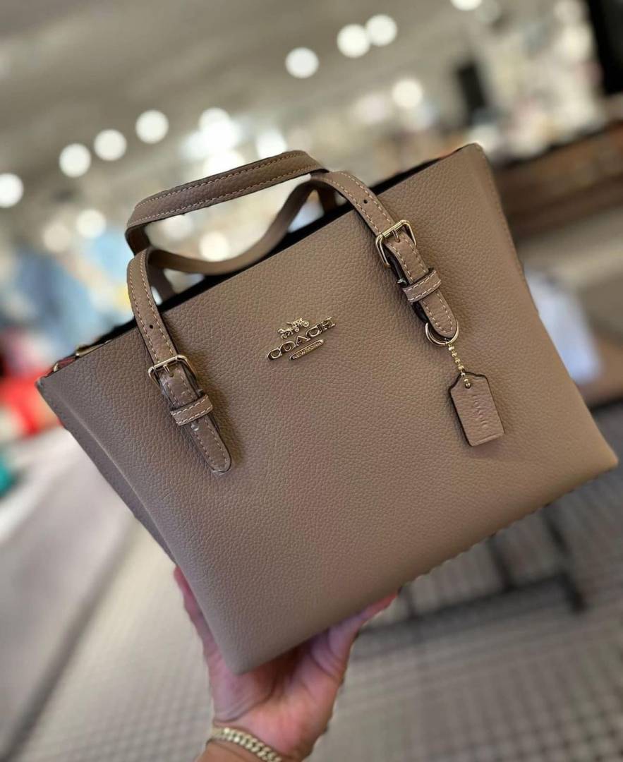 Coach_Mollie_25_SuperPremium_Mud_Small_Tote_With_OriginalBox_DustCover