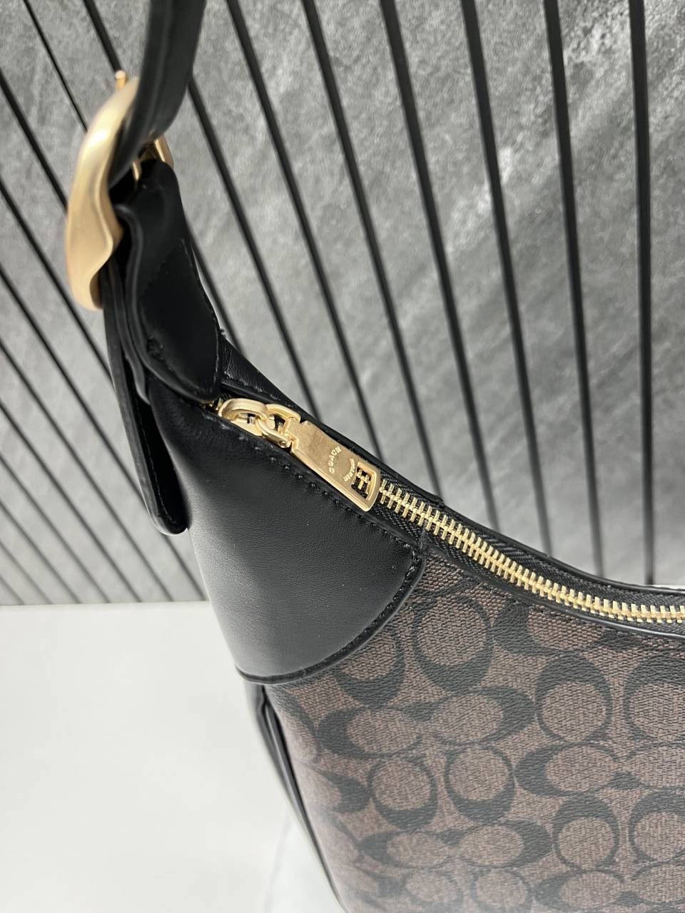 Coacch_Ella_Shoulder_Hobo_Tote_With_DustCover