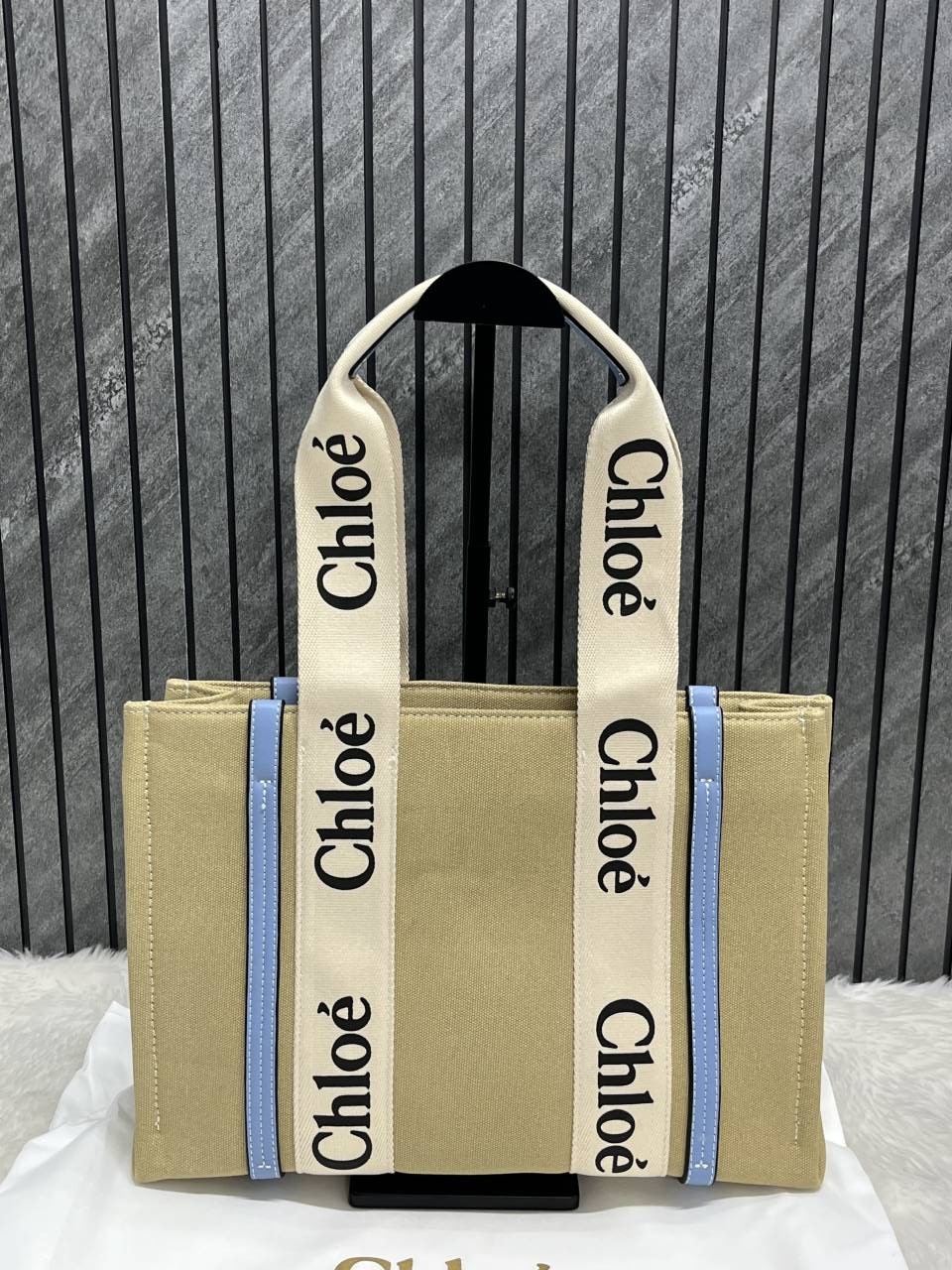 Chloee Blue Medium Canvas Woody Tote With Dust Cover