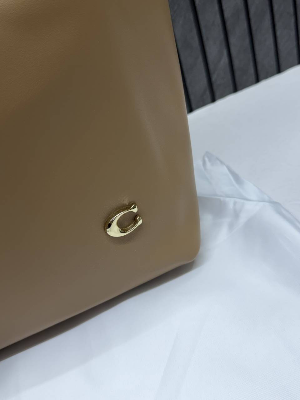 Coach Beige North Tote With DustCover & Pouch