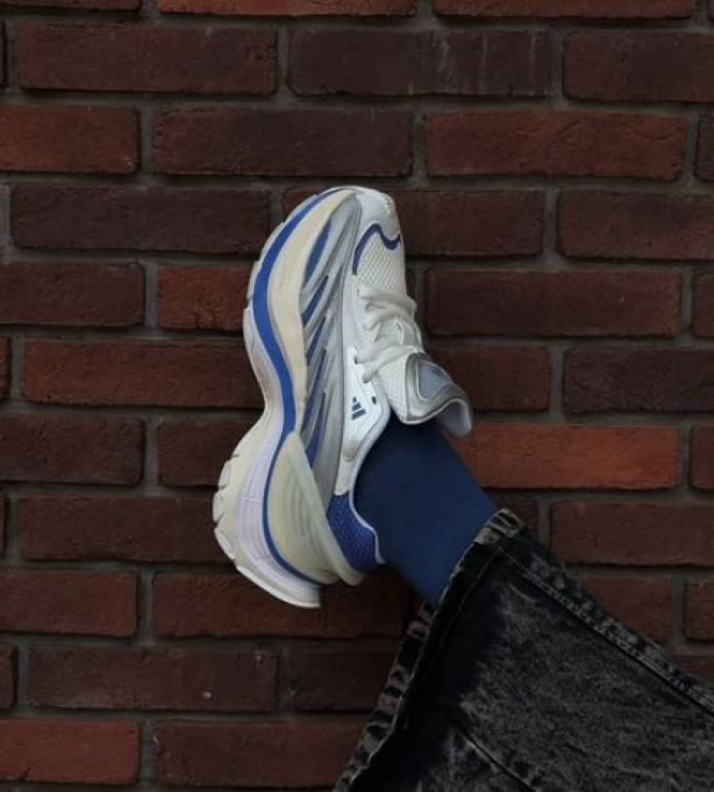 adiddas xlg metawave silver blue